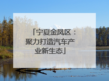 宁夏金凤区：聚力打造汽车产业新生态