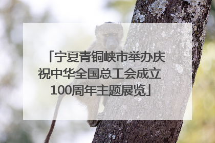 宁夏青铜峡市举办庆祝中华全国总工会成立100周年主题展览