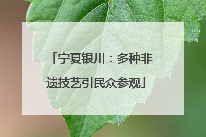 宁夏银川：多种非遗技艺引民众参观