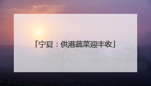 宁夏：供港蔬菜迎丰收