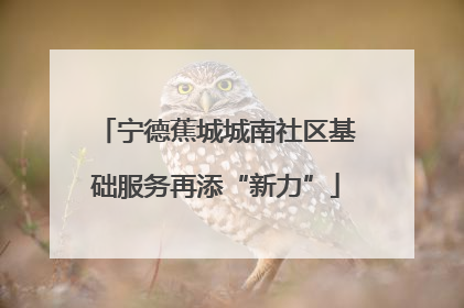 宁德蕉城城南社区基础服务再添“新力”