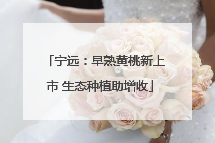 宁远：早熟黄桃新上市 生态种植助增收