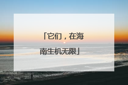它们，在海南生机无限