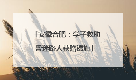 安徽合肥：学子救助昏迷路人获赠锦旗