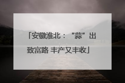 安徽淮北：“蒜”出致富路 丰产又丰收