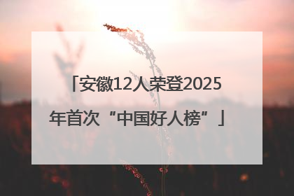 安徽12人荣登2025年首次“中国好人榜”