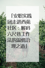 安职实践团走进西苑社区：解码六尺巷工作法的温情治理之道