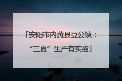 安阳市内黄县豆公镇：“三夏”生产有实招