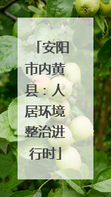 安阳市内黄县：人居环境整治进行时