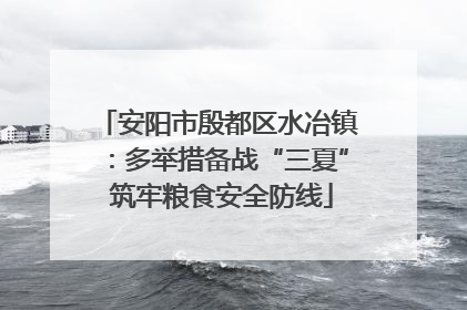 安阳市殷都区水冶镇：多举措备战“三夏” 筑牢粮食安全防线