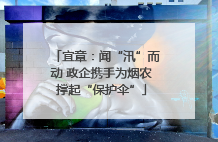 宜章：闻“汛”而动 政企携手为烟农撑起“保护伞”