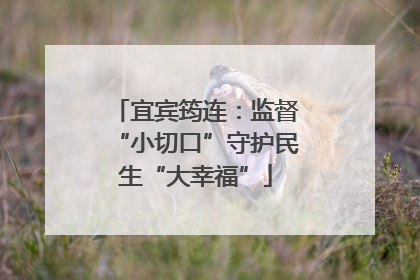 宜宾筠连：监督“小切口”守护民生“大幸福”