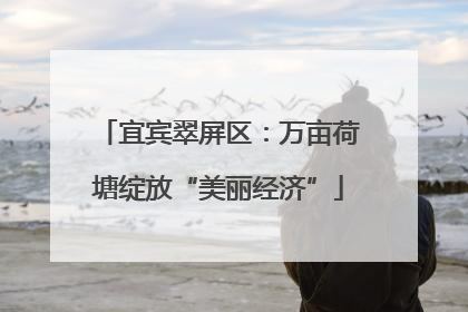 宜宾翠屏区：万亩荷塘绽放“美丽经济”