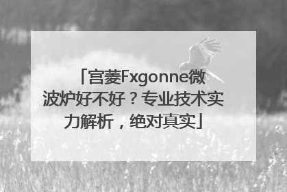 宫菱Fxgonne微波炉好不好？专业技术实力解析，绝对真实