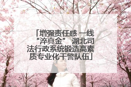 增强责任感 一线“淬真金” 湖北司法行政系统锻造高素质专业化干警队伍