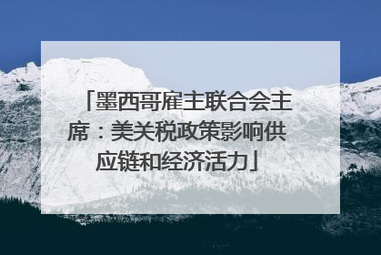 墨西哥雇主联合会主席：美关税政策影响供应链和经济活力