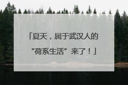 夏天，属于武汉人的“荷系生活”来了！