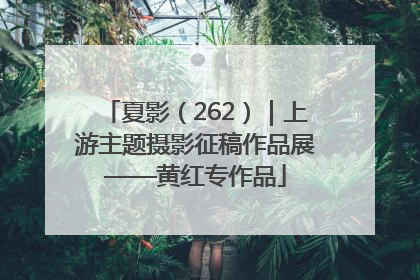 夏影（262）｜上游主题摄影征稿作品展——黄红专作品