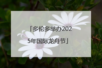 多伦多举办2025年国际龙舟节