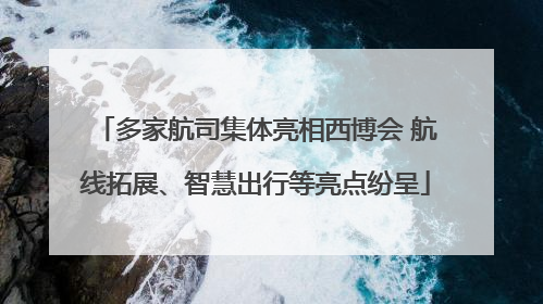 多家航司集体亮相西博会 航线拓展、智慧出行等亮点纷呈