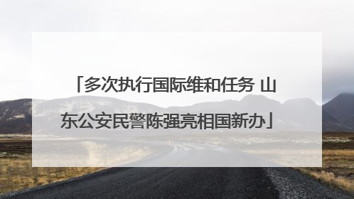 多次执行国际维和任务 山东公安民警陈强亮相国新办