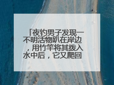 夜钓男子发现一不明活物趴在岸边，用竹竿将其拨入水中后，它又爬回岸边……