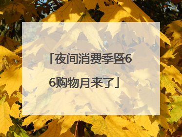 夜间消费季暨66购物月来了