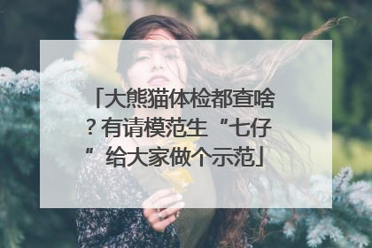 大熊猫体检都查啥？有请模范生“七仔”给大家做个示范