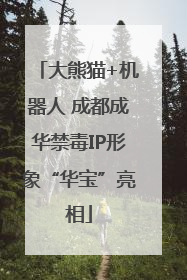 大熊猫+机器人 成都成华禁毒IP形象“华宝”亮相