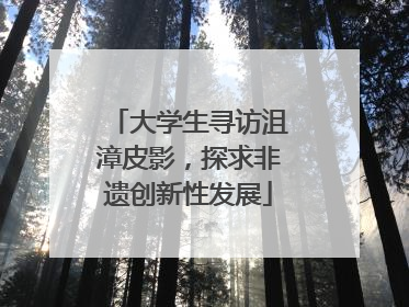 大学生寻访沮漳皮影，探求非遗创新性发展