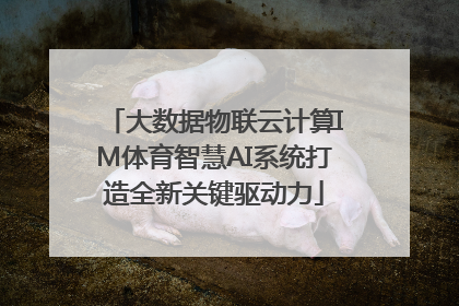 大数据物联云计算IM体育智慧AI系统打造全新关键驱动力