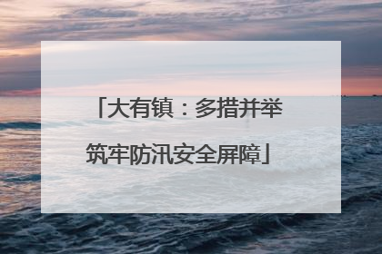 大有镇：多措并举筑牢防汛安全屏障