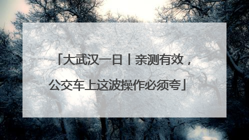 大武汉一日丨亲测有效，公交车上这波操作必须夸