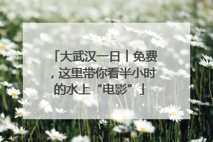 大武汉一日︱免费，这里带你看半小时的水上“电影”
