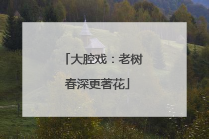 大腔戏：老树春深更著花