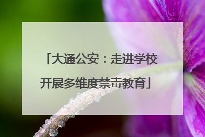 大通公安：走进学校开展多维度禁毒教育