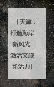 天津：打造海岸新风光 激活文旅新活力