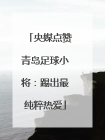 央媒点赞青岛足球小将：踢出最纯粹热爱