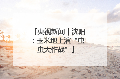 央视新闻｜沈阳：玉米地上演“虫虫大作战”