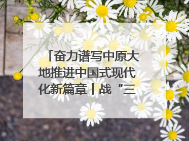 奋力谱写中原大地推进中国式现代化新篇章丨战“三夏” 夺丰收