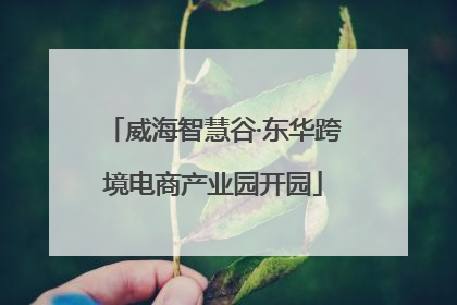 威海智慧谷·东华跨境电商产业园开园