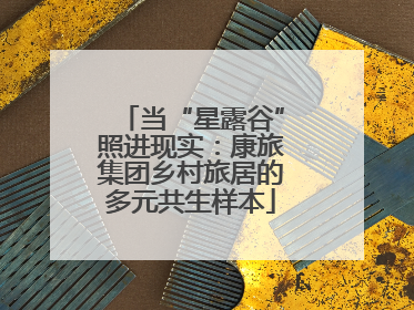 当“星露谷”照进现实：康旅集团乡村旅居的多元共生样本