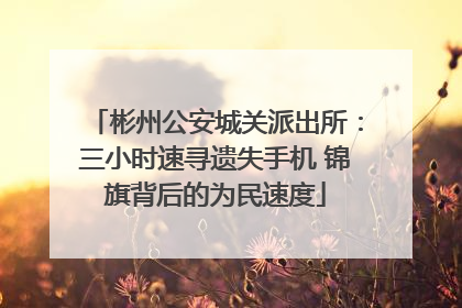 彬州公安城关派出所：三小时速寻遗失手机 锦旗背后的为民速度
