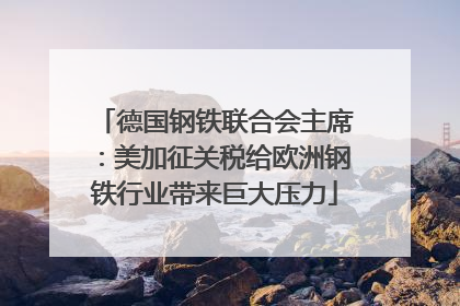 德国钢铁联合会主席：美加征关税给欧洲钢铁行业带来巨大压力