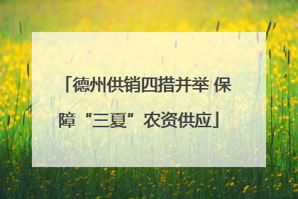 德州供销四措并举 保障“三夏”农资供应