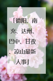 德阳、南充、达州、巴中、甘孜、凉山最新人事