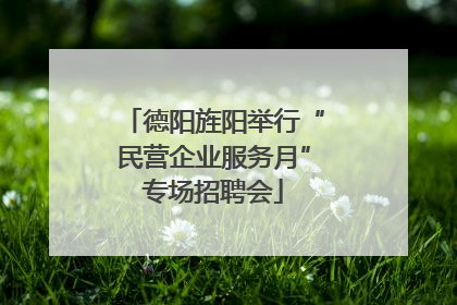 德阳旌阳举行“民营企业服务月”专场招聘会