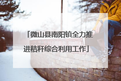 微山县南阳镇全力推进秸秆综合利用工作