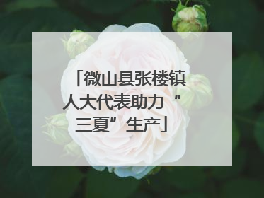 微山县张楼镇人大代表助力“三夏”生产