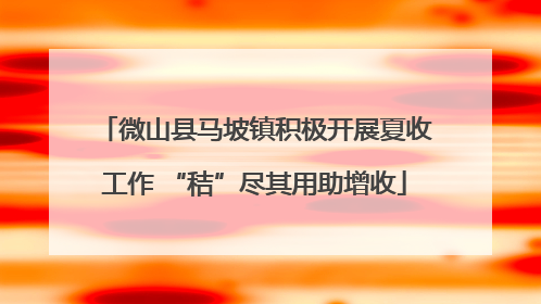 微山县马坡镇积极开展夏收工作 “秸”尽其用助增收
